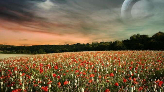 请问这个美女出自哪部电影？